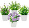 Bafenli 4 Pezzi Mini Piante Artificiali con Vaso Piccolo Pianta Finta con Fiori per Casa Ufficio Tavolo Stanza Bagno Decorazione Interno