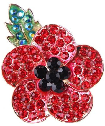 Lot de 2 broches coquelicots rouges avec strass et cristaux pour banquet, cadeau du jour du souvenir, plaqué noir, feuille verte, Plastique