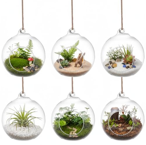 SUPVOX 6pcs Hanging Glass Terrarium Globes - 4 Inch Orb Air Plant Holders for Succulents, Moss & Tea Light Candles | Indoor/Outdoor Home Decor, Wedding Centerpieces, Mini Garden DIY (Clear)