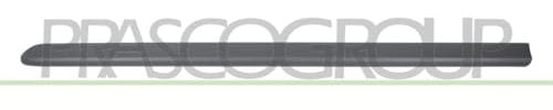 PRASCO FT9081404 Baguette et bande protectrice porte avant gauche noir