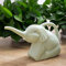 Pcscevcr Regadera de plástico con forma de elefante de 2 litros, bonita regadera de animales con boca larga, regadera de elefante de nariz larga, hervidor de jardinería (verde)