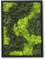 comforder Rechteckiges Wandbild mit echtem Moos (27x38 cm), Konserviertes Moosbild mit Holzrahmen, Natur Wanddeko fürs Wohnzimmer