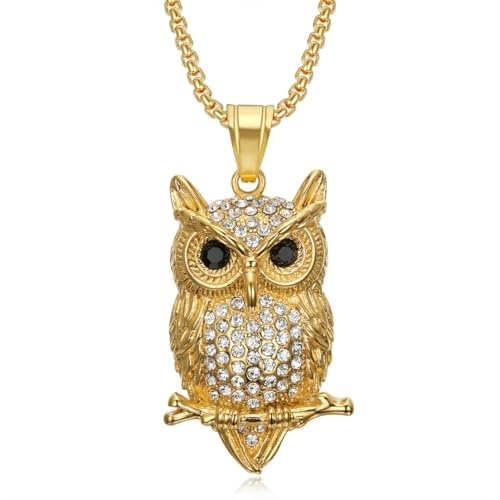 fycouyee Hip Hop Ornament Zirkon Eule Anhänger Halskette