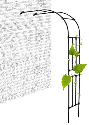 BEEGMA Rosenbogen Garten Halbbogen 60x240x45cm 120x240x45cm 240x240x45cm Metall Torbogen Rankhilfe Rankgitter Halb-rosenbogen Wetterfest Stabiles (Size : W180xH240cm/W5.9xH7.9ft)