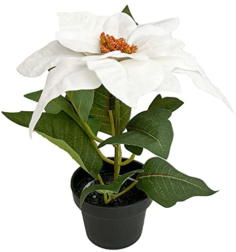 Murago - Künstlicher Weihnachtsstern ca.20cm - Weiß - mit im Topf Kunstblumen Kunstpflanzen Blümchen Topfflanze für Weihnachten weihnachtliche Weihnachtsdekoration Blüte