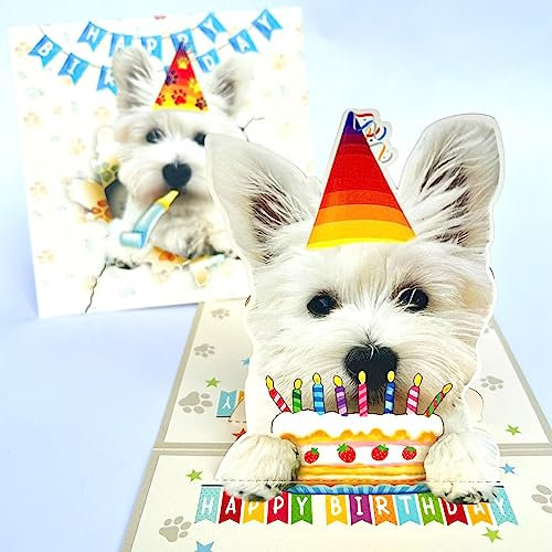 3D-Pop-Up-Geburtstagskarte West Highland White Terrier – niedlicher Hund mit Kuchenfeier, skurriler Happy Birthday Gruß für Hundeliebhaber