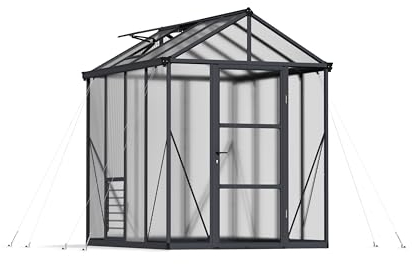 Canopia by Palram Gewächshaus klein Glory 6x8 Treibhaus 244x195 cm Aluminium Anthrazit Tomatenhaus Polycarbonatplatten UV-beständig