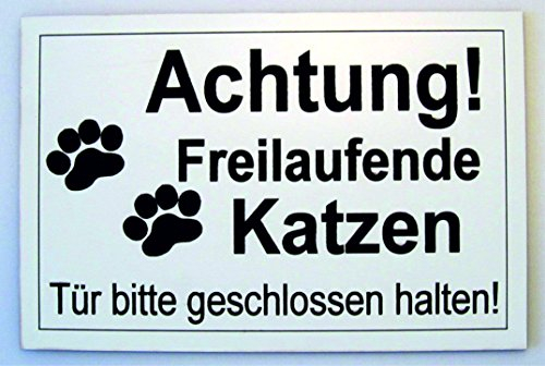 Achtung Freilaufende Katzen Gravur Schild 15 x 10 cm Katzenschild Katze Neu