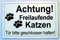 Achtung Freilaufende Katzen Gravur Schild 15 x 10 cm Katzenschild Katze Neu