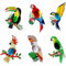 Kiwochy Tropische Vogel Dekoration 6 Stück Papageien Deko Hawaii Sommer Tropical Party Dekorationen Zubehör Party Seidenpapier Hängende Dekorationen für Outdoor Garten Hawaii Deko
