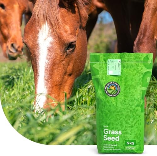 Grassamen Pferdeweide - Low fructan mix | 15 Kilo - 1.500 m² | Sehr niedriger Fruktangehalt | Ideal für Pferde & Alpakas | Weidegras für Beweidung, Heu- und Silageproduktion | MRS Seeds