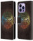 Head Case Designs Offizielle Brigid Ashwood Wasserhaus 15 Heiliges Symbol Leder-Wallet-Hülle Kompatibel mit Apple iPhone 14 Pro Max