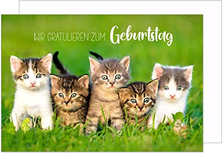 Edition Seidel Premium Geburtstagskarte mit Umschlag. Glückwunschkarte Grusskarte Billet Happy Birthday Mann Frau Kind Wir gratulieren zum Geburtstag Katze Kätzchen Karte (G3215 SW023)