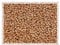 10g TOHO Seed Beads 11/0, Small Japan rocailles, #PF551 Pink Gold Permanent Finish
