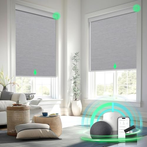 MANSNIX Motorized Blinds with Remote Control, Blackout Roller Shades, Custom Smart Blinds with Valance, Cordless Electric Window Blinds & Automatic Shades(Grey,48 Wx72 H)