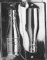 Grandmama's Goodies AO042 Large Champagne Bottle Chocolate Candy Mold with Exclusive Molding Instructions