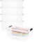 BigDean 4er Set Aufbewahrungsbox mit Deckel transparent - 21L + Clipverschluss - Stapelbox Ordnungsbox Clipbox Lagerbox Box mit Deckel Storage Boxes - Klarsichtbox mit Deckel - stapelbar