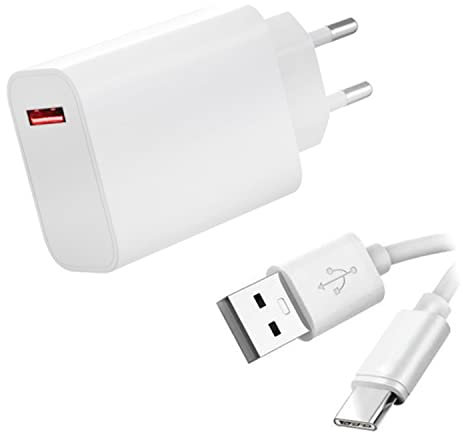 Visiodirect Chargeur Secteur Rapide USB2 33W + Cable Type C pour Samsung Galaxy Tab A8 10.5 (2021) SM-X200 / SM-X205 10.5- Blanc