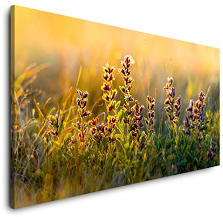 wilde Blumen und Gräser 120x 60cm Panorama Leinwand Bild XXL Format Wandbilder Wohnzimmer Wohnung Deko Kunstdrucke