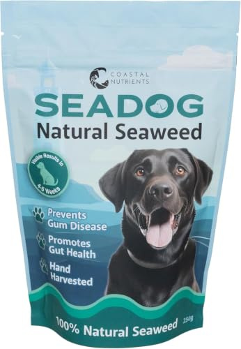 Sea Dog Dental Powder for Dogs by Coastal Nutrients with Scoop - Seaweed for Dogs - Natural Dog Breath Freshener & Dog Plaque Powder - Natural and Sustainably Sourced - 250g Pouch