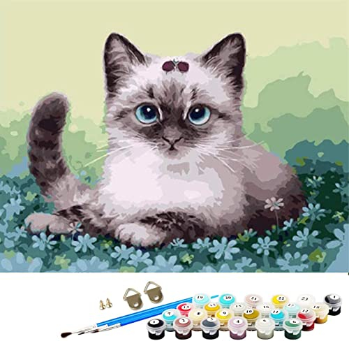 ABEUTY Wandkunst Katze Tier Wiese Garten Malen nach Zahlen, DIY Ölgemälde auf Leinwand Gemälde 40x50cm