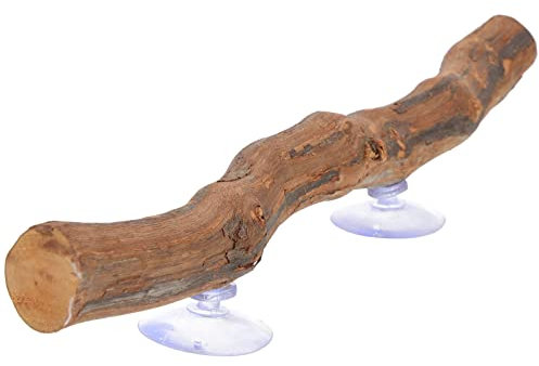 PATKAW Reptilienpflanzen Spielzeuge Reptiliendeko Naturwald Terrarium Kletterecke Baum Hintergrunddeko Pflanzendeko mit Saugnapf für Echse Leopardgecko Terrarium Kletter AST