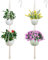 SNAIL GARDEN 2 Tier Macrame Plant Hanger, 2Pack Double Plant Hangers with Tassel Indoor Outdoor Hanging Planter Basket Handmade Cotton Rope Hanging Planters Set with 2Pcs Hooks for Boho Home Decor