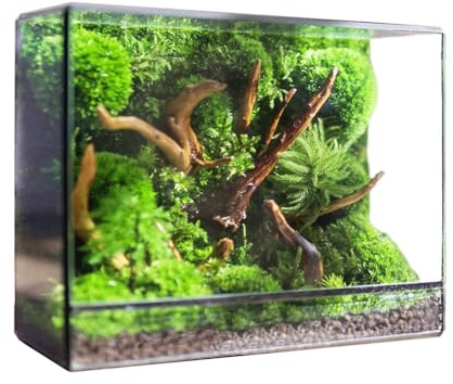 AVCULT Terrario De Cristal Pequeño Negro para Plantas,Maceta De Vidrio Irregular Negro, Maceta De Decoración De Mesa De Jardín (sin Plantas)