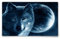 Silent Monsters Mauspad 360 x 250 mm Stoff Mousepad Wolf - Vernähter Rand, rutschfest & leise, Gaming Büro Office Homeoffice - 36 x 25 cm Mouse Pad Mat - Mausunterlage für alle Maus Arten