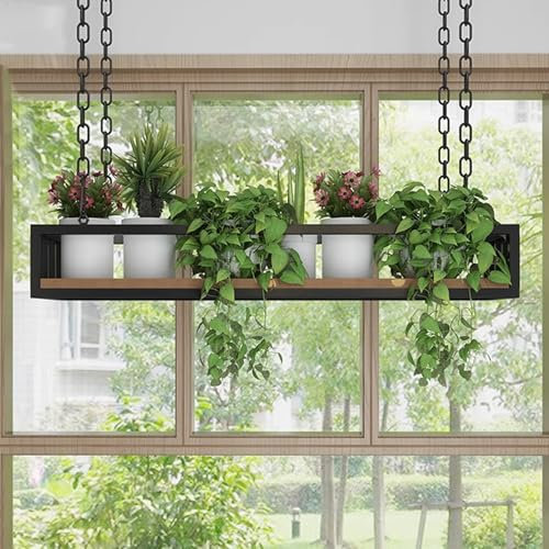 Étagères flottantes de plafond, étagère murale, support de fleurs avec cadre en métal, étagères murales suspendues pour jardinières, étagère de rangement décorative plantes livres, porte-bouteille vin