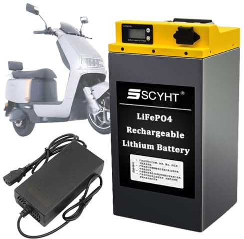 SSCYHT Batteries au Lithium 60 V 20 Ah 22,5 Ah 27 Ah Batterie Scooter 72 V Batteries LiFePO4 48 V Batteries pour Moto avec Chargeur et poignée pour Moteurs 750 W à 2 000 W,48v31.5ah