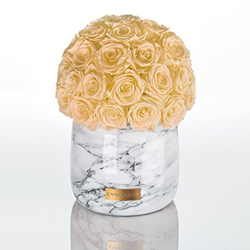 EG EMMIE GRAY Marble Metallic Infinity Collection L | – Traumhafte Infinity Rosen, 1-3 Jahre haltbare Rosen, Marble Metallic Vase mit echten, konservierten Rosen, edle Premiumrosen (Champagne)