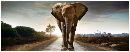 Wallario Memoboard aus Glas mit Motiv, Magnet-Tafel in 32 x 80 cm in Premium Qualität Elefant bei Sonnenaufgang in Afrika