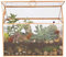 D'Eco Terrarium pour plantes en verre, 25,4 x 15,2 x 20,3 cm, doré géométrique pour plantes succulentes, plantes aériennes, mousse, décoration de maison, jardin, mariage et