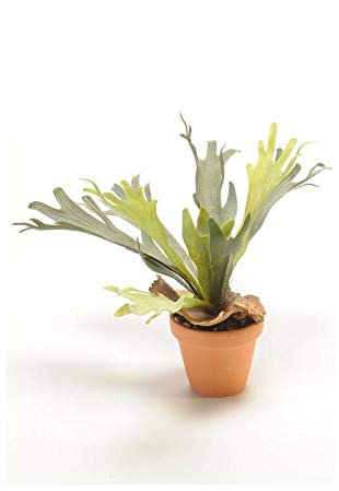 artplants.de Fake staghorn fern BAROJA, green, 20/50cm