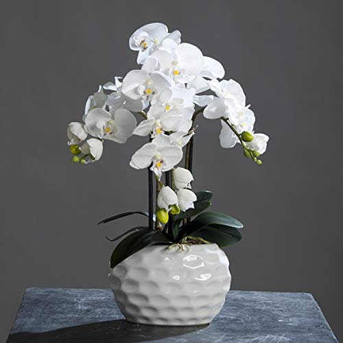 mucplants Orchidee Kunstpflanze Phalaenopsis Weiß H. 54cm Keramiktopf Weiß Kunstblume Kunstpflanze