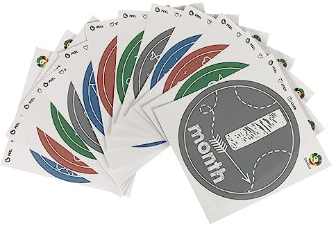 OSALADI 12 Stück Baby monatliche Foto Bild Aufkleber USB-B-Verlängerungskabel Säugling 12 Monatsaufkleber Monat Aufkleber Säuglingsaufkleber schmücken Bauch Aufkleber Applikationen