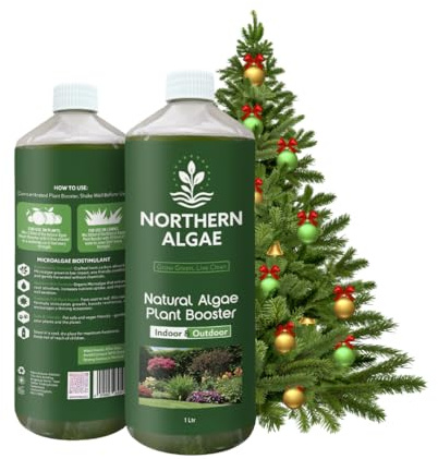 Northern Algae Christmas Tree Feed. Organic Plant Feed for Stronger Growth & Healthier Roots. Natural Microalgae Biostimulant. Extend Freshness & Prevent Needles Dropping. Indoor & Outdoor Use. 1L
