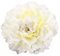 Butterme Mujeres Chicas Peony Flower Hair Clip Horquilla Adorno para El Pelo para La Fiesta de Bodas En La Playa(Beige)