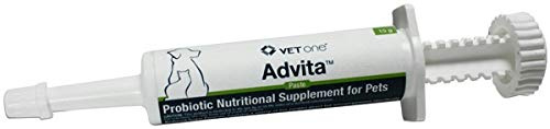 Vet One Advita Paste for Pets (15g Tube)