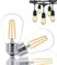 Svater 2 Pezzi S14 Lampadina Led E27 a Filamento 2W Bianco Caldo 2700K 150lm Equivalenti a 20W 360 Gradi Non Dimmable Vintage Edison Lampadine Sostitutive per Catena Luminosa Lampadina