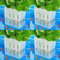 Upgraded Aquarium Plant Holder with Hooks and Suction Cups for Fish Tank Aquaponic Plant Cultivation and Aquascape Decorations (Semitransparent)