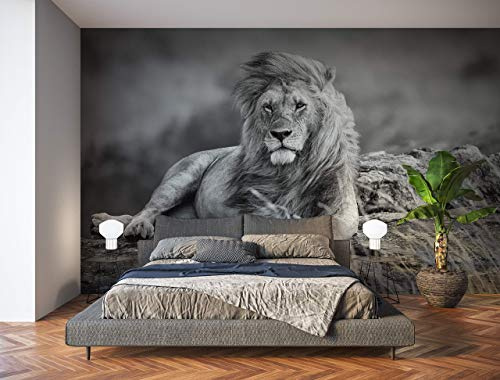 Oedim Fotomural Vinilo para Pared León Blanco y Negro | Vinilo Económico | Fotomural Vinilo Decorativo | 400 x 300 cm | Decoración comedores, Salones, Habitaciones-