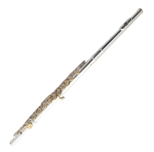 Professionelle Querflöte Versilberte Gold-Tonart C-gestimmtes Geschlossenes/offenes Loch Anfänger-Flöten-Testinstrument Für Bandleistungen Für Erwachsene