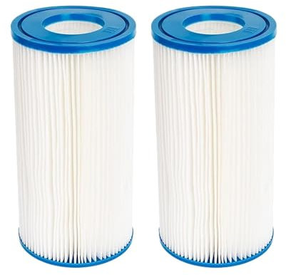 Robotic Pool Cleaner Filter Cartridge Cartuccia Filtro Tipo A, Compatibile con Intex Piscina 29002, for Filtro A Cartuccia for Piscina, Aspirapolvere, Pompe for Piscine, Tende da Sole Swimming Pool(2