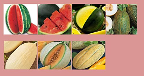 Melonensamen Set 7 Sorten Profisaatgut Melonen Saatgut Melone Crimson Sweet Charentais