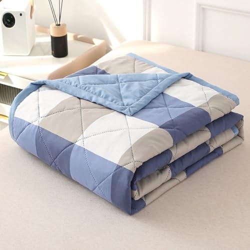 DOTBUY-SHOP Copriletto Trapuntato Matrimoniale Singolo, Controllo Trapuntino Coperta Estivo Primaverile Reversibile Trapunta Autunno Coperta Leggera per Camera da Letto (Blu,150x200cm)