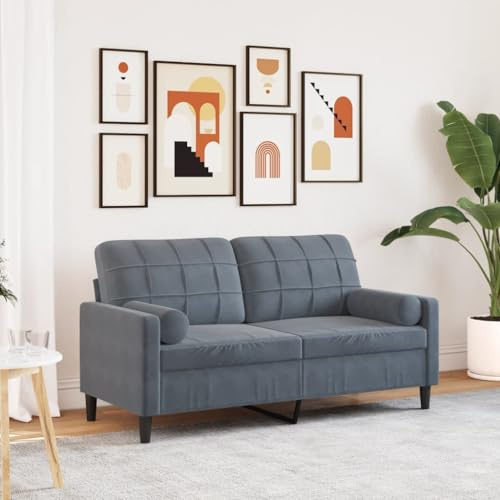 LoogCape 2-Sitzer-Sofa, Dunkelgrau, 140 cm Samt, Metallrahmen, mit 2 Zierkissen, für Wohnzimmer, Schlafzimmer, bequemes Lounging