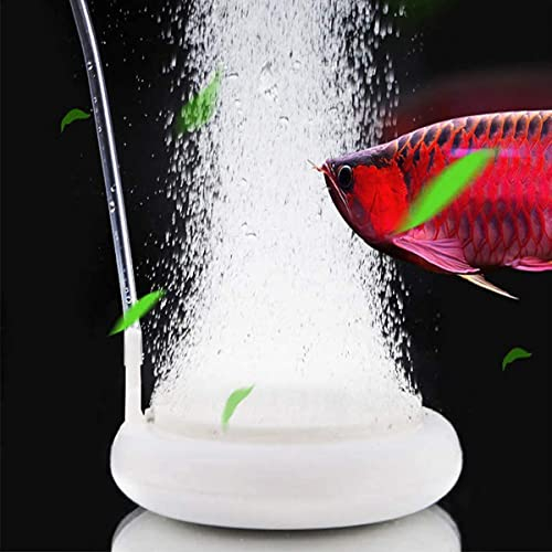 JINJUMEI Aquarium Luftstein Sauerstoff Stein, Sprudelstein für Aquarium Air Stone Ultra Silent, Aquarium Sprudler Rund Sauerstoffblasen-Diffusor Luftausströmer für Aquarium, mit Saugnapf und Schlauch