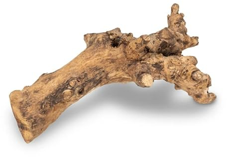 NaDeco Kuwa Deko-Wurzel, in den Größen 25-30 cm und 40-50 cm wählbar | Deko-Wurzel für Terrarien | Holzdeko | Deko-Holz | Terrarium-Dekoration | Deko-Wurzelholz | Echte Wurzel, Größe:40-50 cm